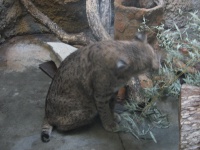 20100206 525.JPG